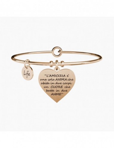 L'AMICIZIA é UNA SOLA ANIMA É ARISTOTELE - Bangle Kidult.