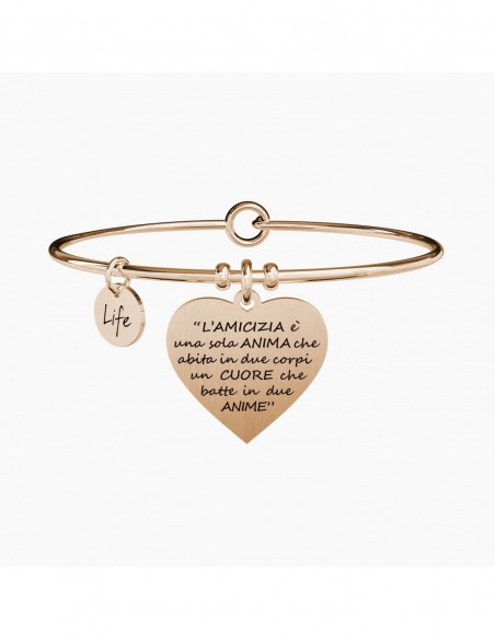 L'AMICIZIA é UNA SOLA ANIMA É ARISTOTELE - Bangle Kidult.